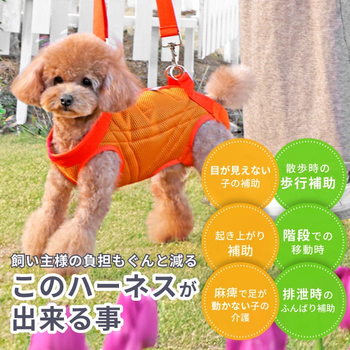 中大型犬用 メッシュ3WAYケアハーネスプレミアム